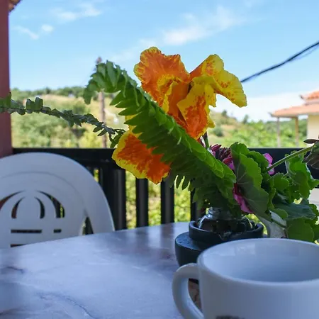 Lemon In Foinikounta, 150m To The Beach * Finikounta